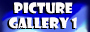 Gallery 2