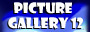 Gallery 12