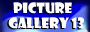 Gallery 13