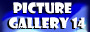 Gallery 14