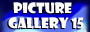 Gallery 15