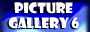 Gallery 6