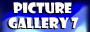 Gallery 7