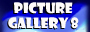 Gallery 8