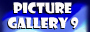 Gallery 9