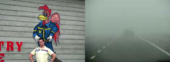 Don's a strong as a Cock