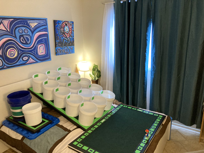 Junkyard Symphony's Groovy Games Getway, The Ball Room